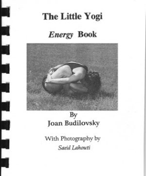 A pocket-sized book of yoga poses associated with each chakra.